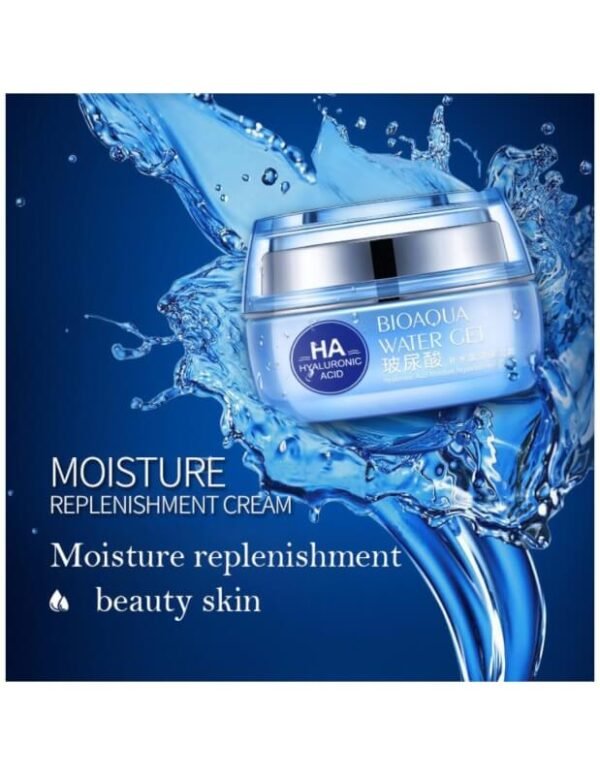 BIOAQUA Moisturizers Replenishment Cream Hyaluronic Acid Day Creams