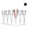 Oasis Flute Champagne Glass 6 Pcs Set - 247980