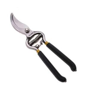 Pruning Shear