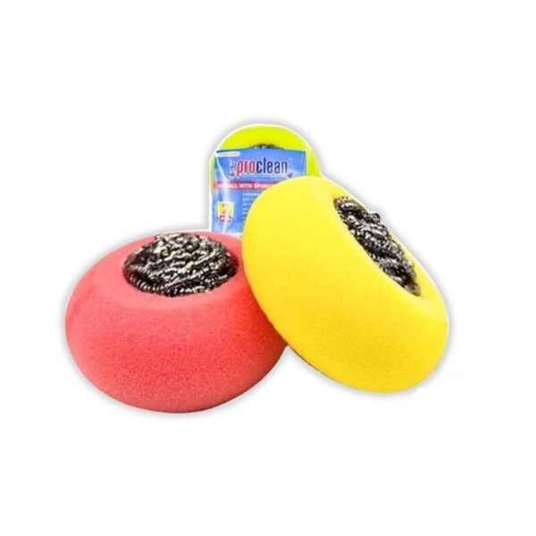 6 Pieces SS Ball with Sponge Scourer, Kitchen Cleaning Dish Sponge for Removing Hard Dirt, Oil, Non-Scratch Non-Stick Pan_BSS-9999