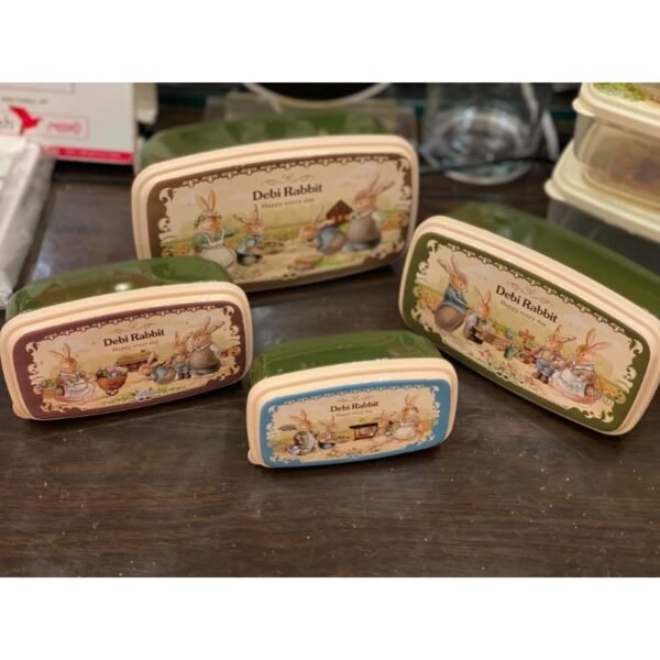 Elegant Design School Tiffin Box or Lunch box for baby-34